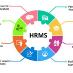 A graphical representation of HR Software tasks