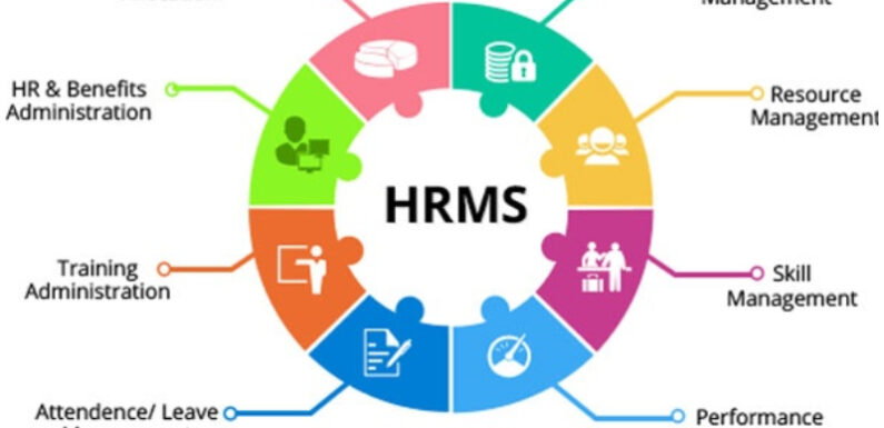 Successful HR Management in Small Businesses using HR Software